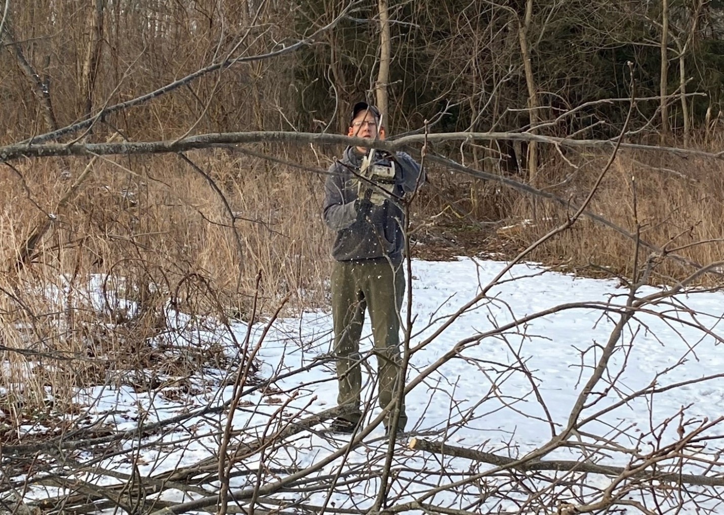 Justin Peltz cutting up a Black Walnut tree