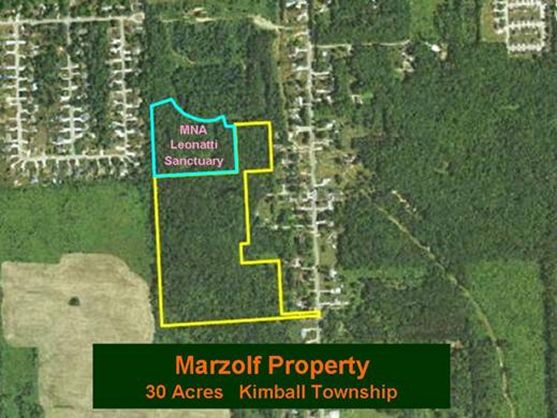 Mazolf Property