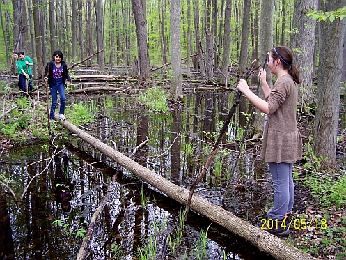 Dead End Woods Sanctuary